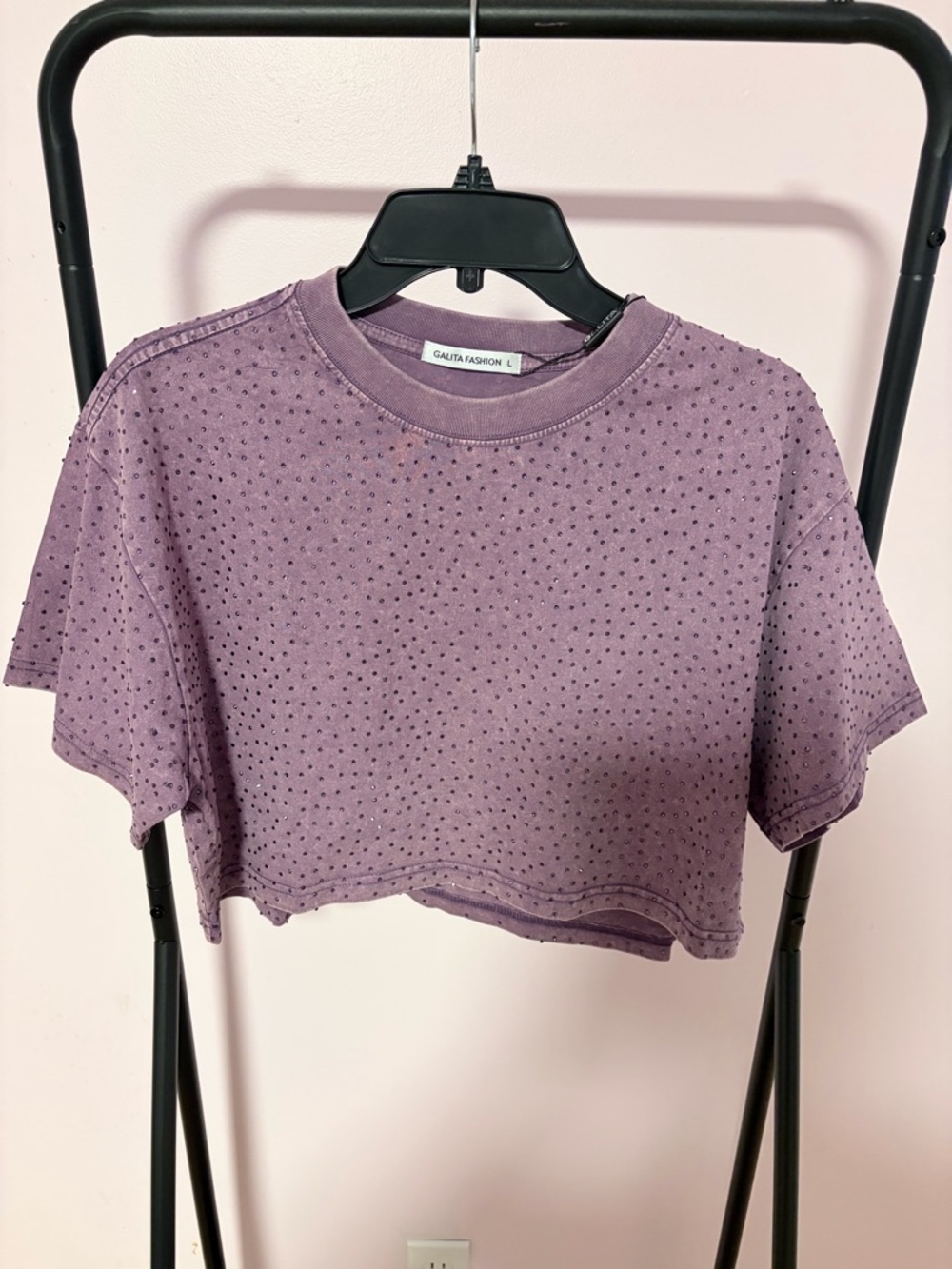 NWT Large Galita Purple Mineral Wash Rhinestone Cropped Oversized Cotton Tee